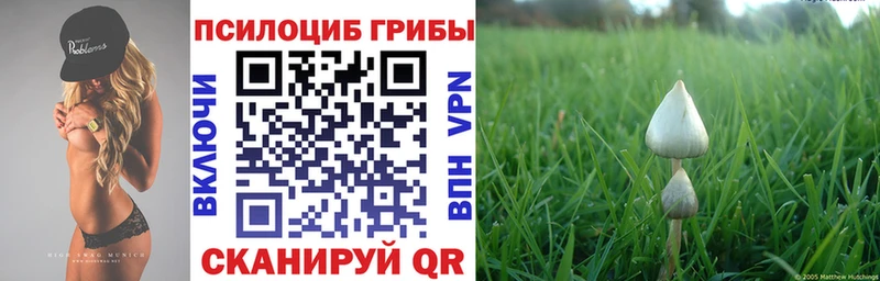 Псилоцибиновые грибы MAGIC MUSHROOMS  Купить  Высоцк 